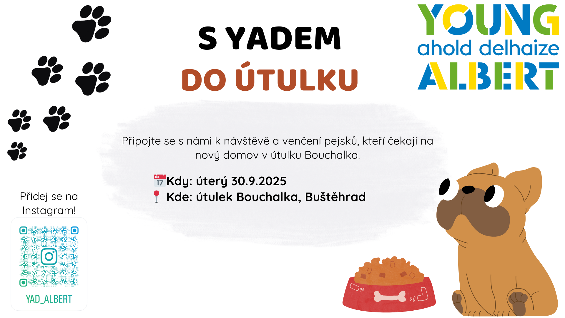S YADem do útulku picture